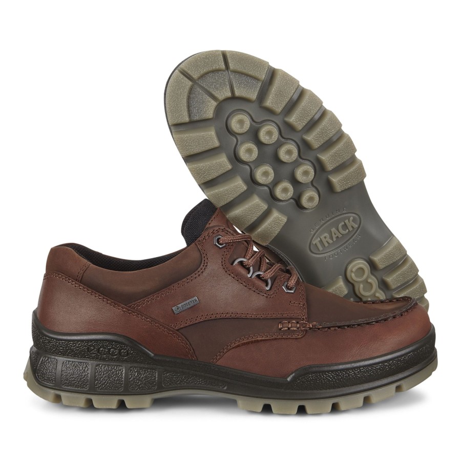 Men Ecco | Men'S Track 25 Bison Brown Leather Gore-Tex Waterproof Shoe